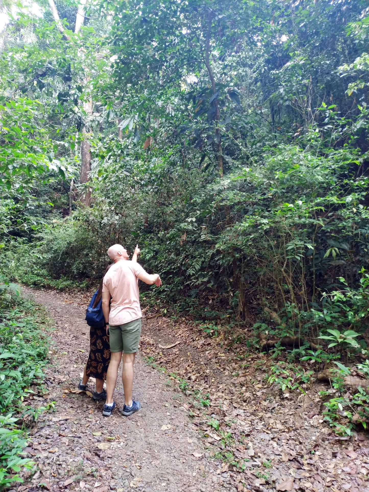 Monkey Watch & Pipeline Trail Eco-Adventure