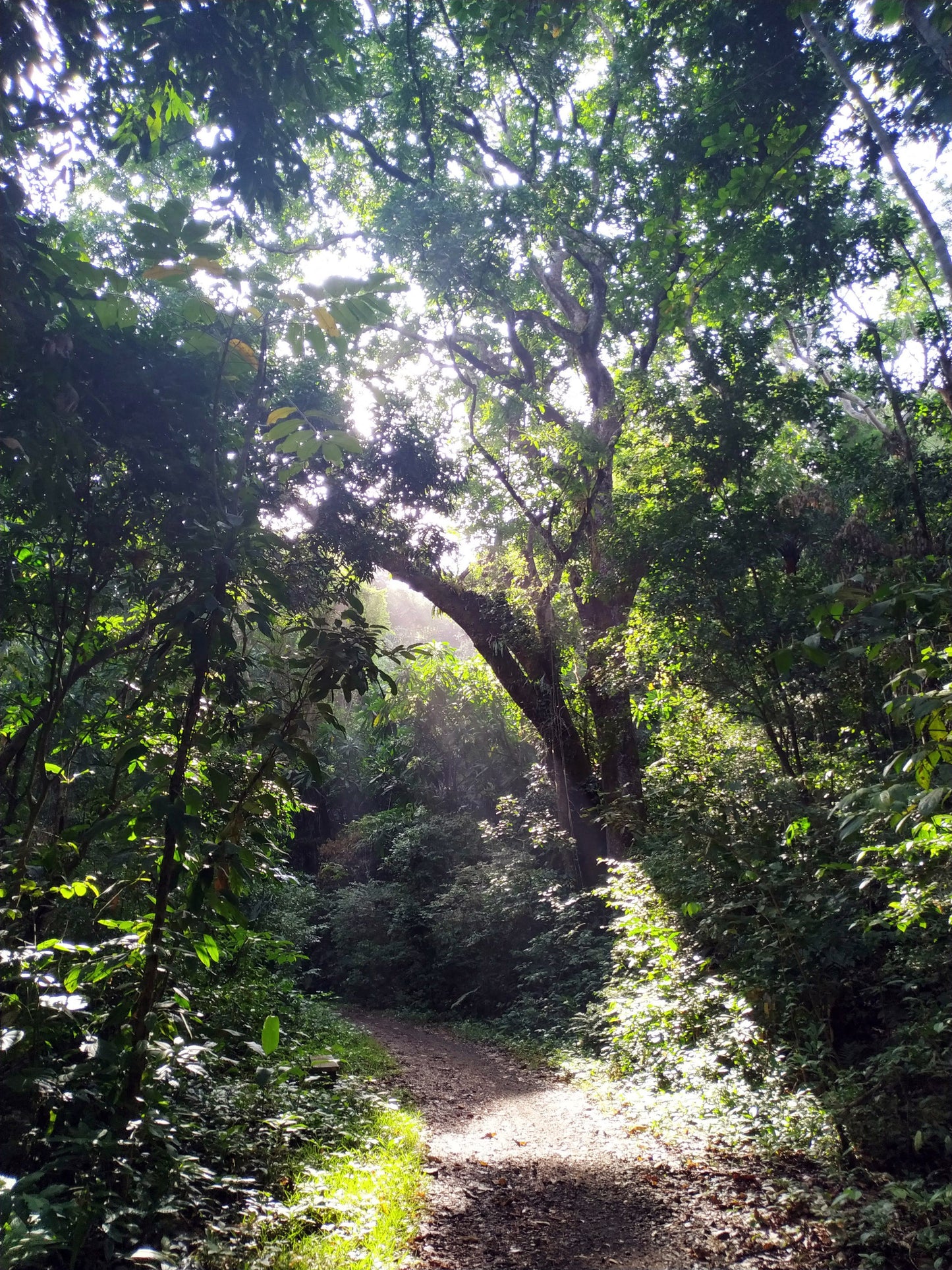 Monkey Watch & Pipeline Trail Eco-Adventure