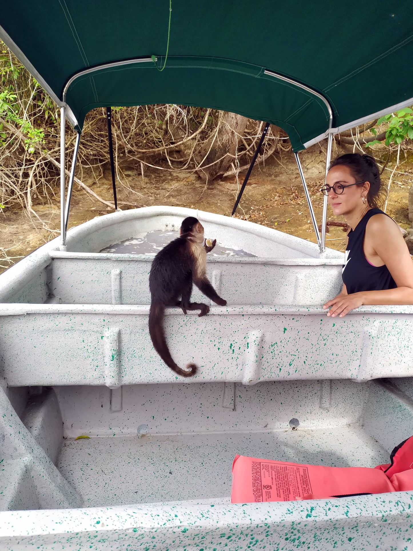 Monkey Watch & Pipeline Trail Eco-Adventure