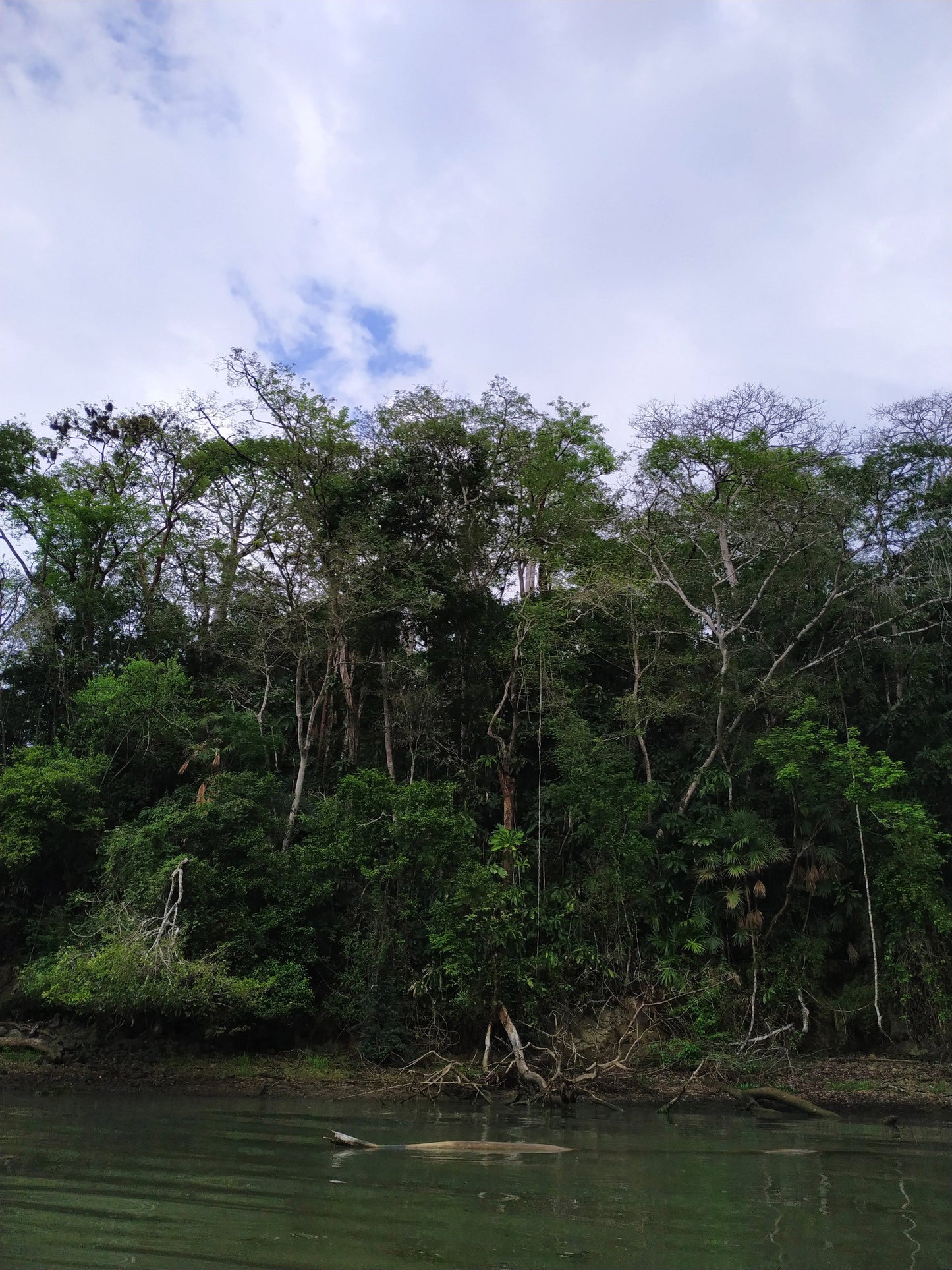 Monkey Watch & Pipeline Trail Eco-Adventure