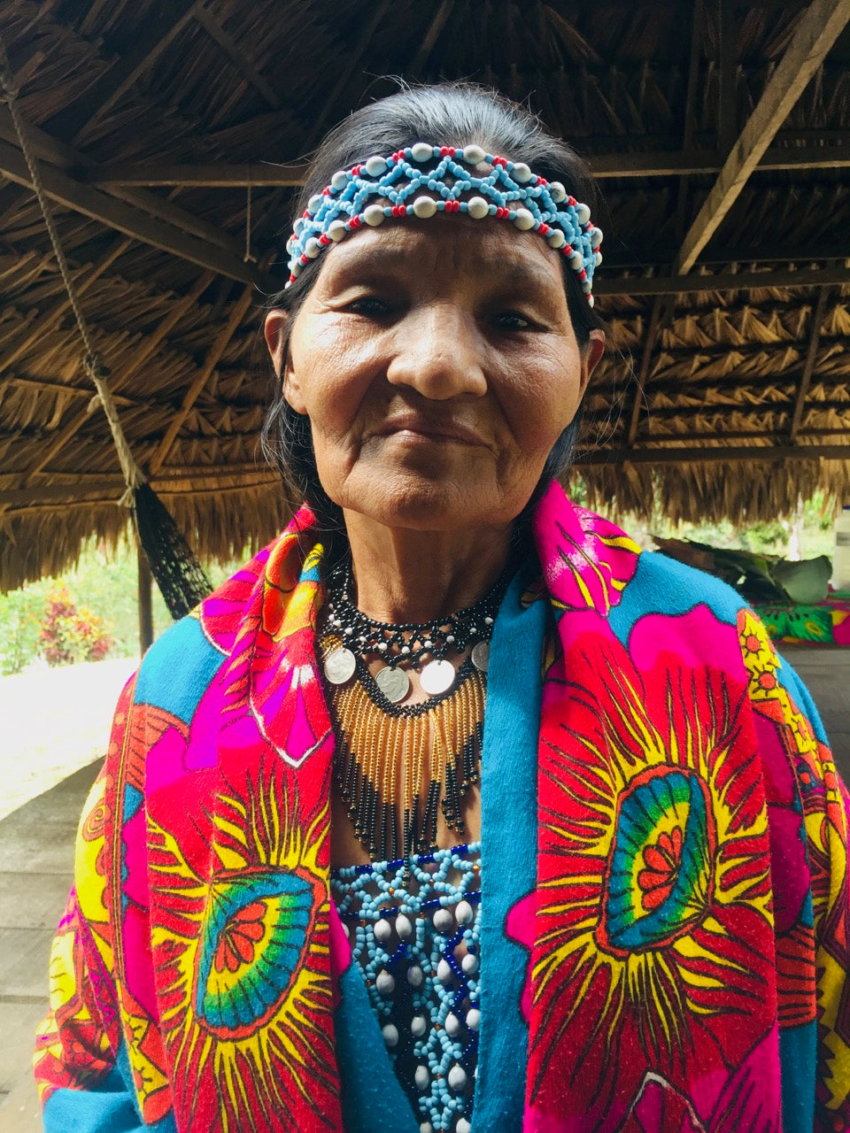 Cultural Journey to an Emberá Indigenous Village